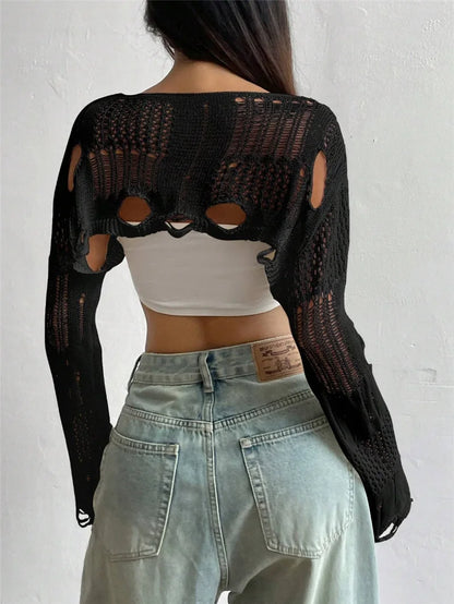 Ripped Long Sleeve Crochet Crop Top