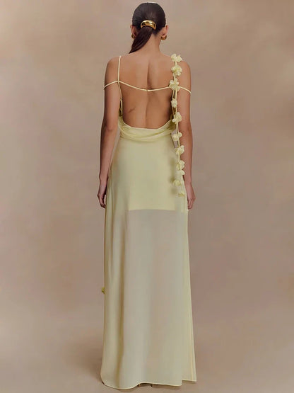 Photograph This Maxi Dress