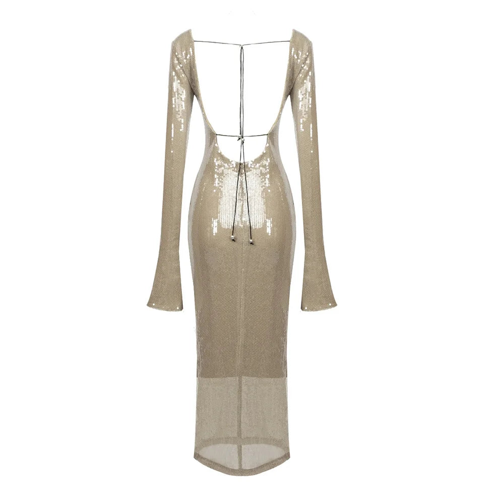 Secretly On Your Side Maxi Dress