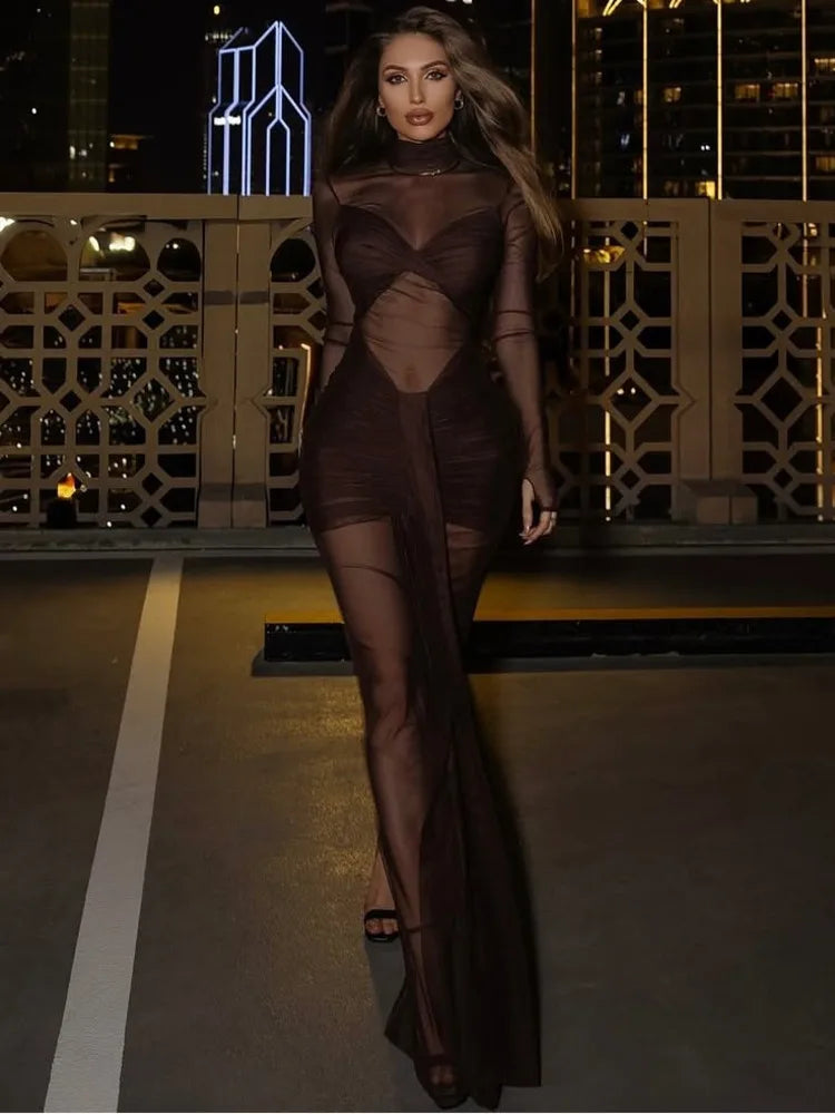 Sheer Mesh Pleated Maxi Dress