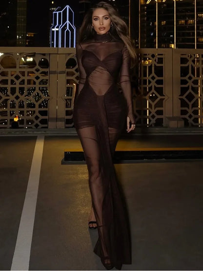 Sheer Mesh Pleated Maxi Dress